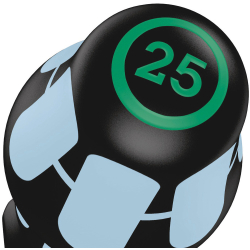 Wera 032055 Wkrętak ze stali nierdzewnej TX 25x100